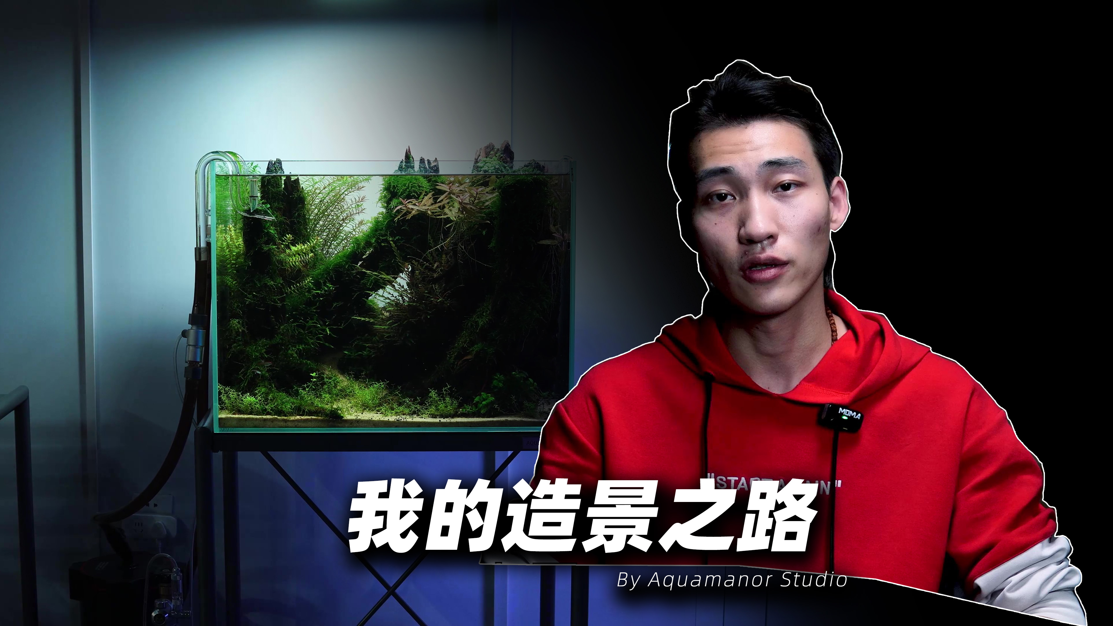 水族造景|从爱好者如何成长为一名职业造景师!爱恨交加!