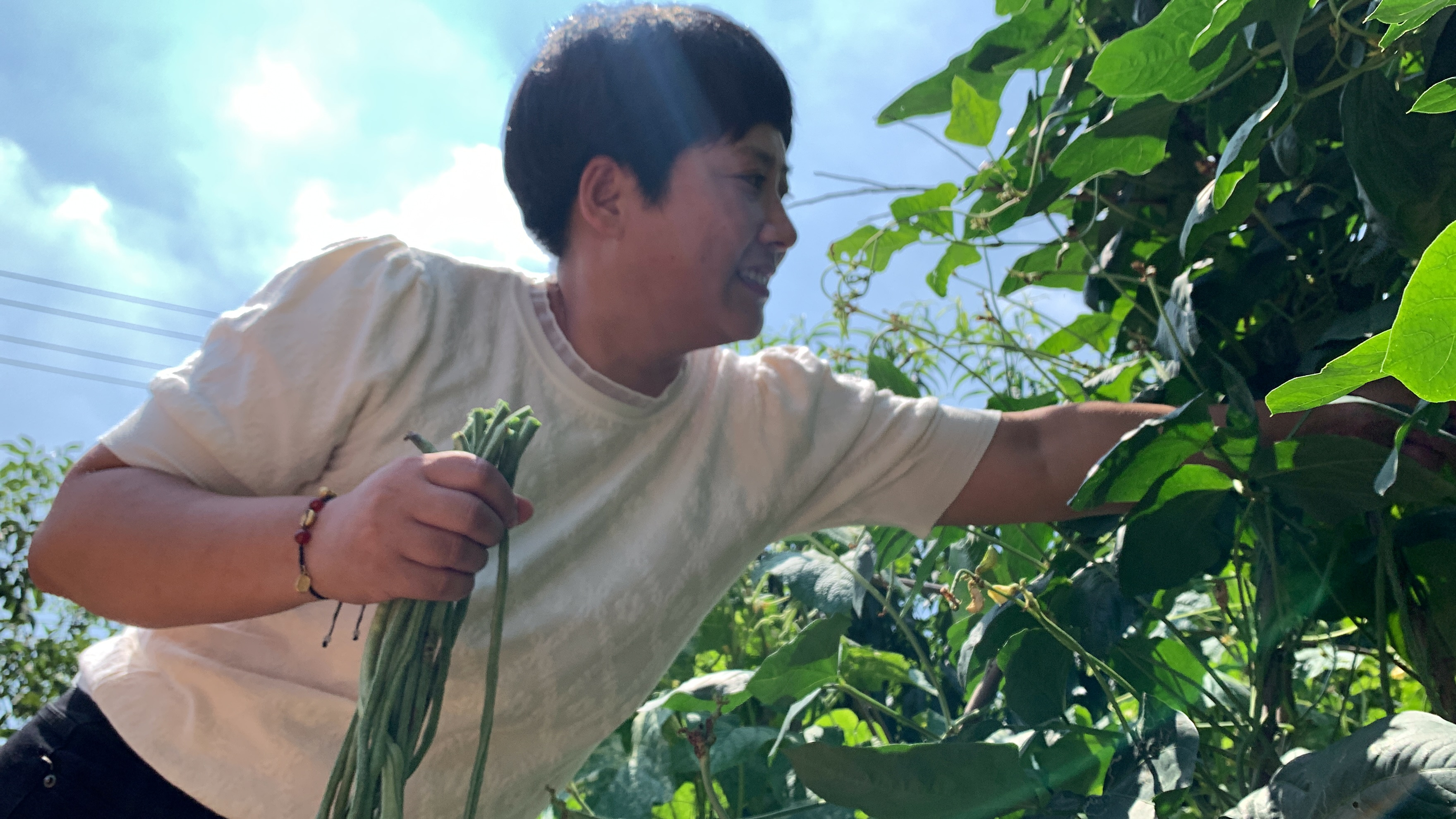 菜园大丰收，随手一摘就一大把，做个家常炖菜，简单好吃又美味