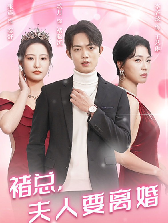 褚总夫人要离婚