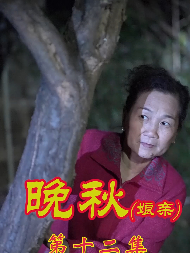 【热播短剧】娘亲 12