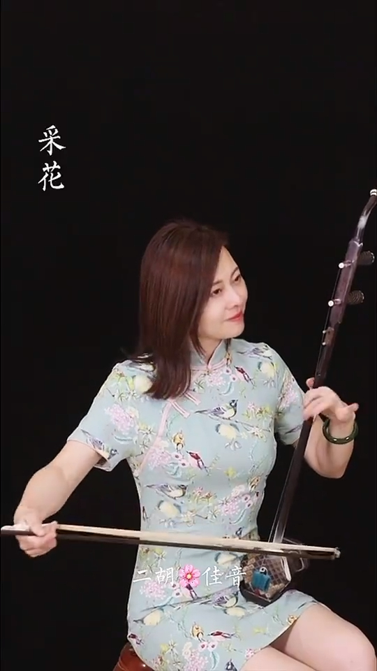 二胡演奏采花满满的民族风