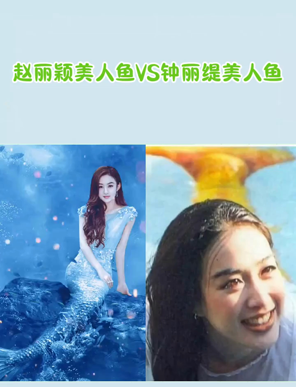 美人鱼vs花仙子图片