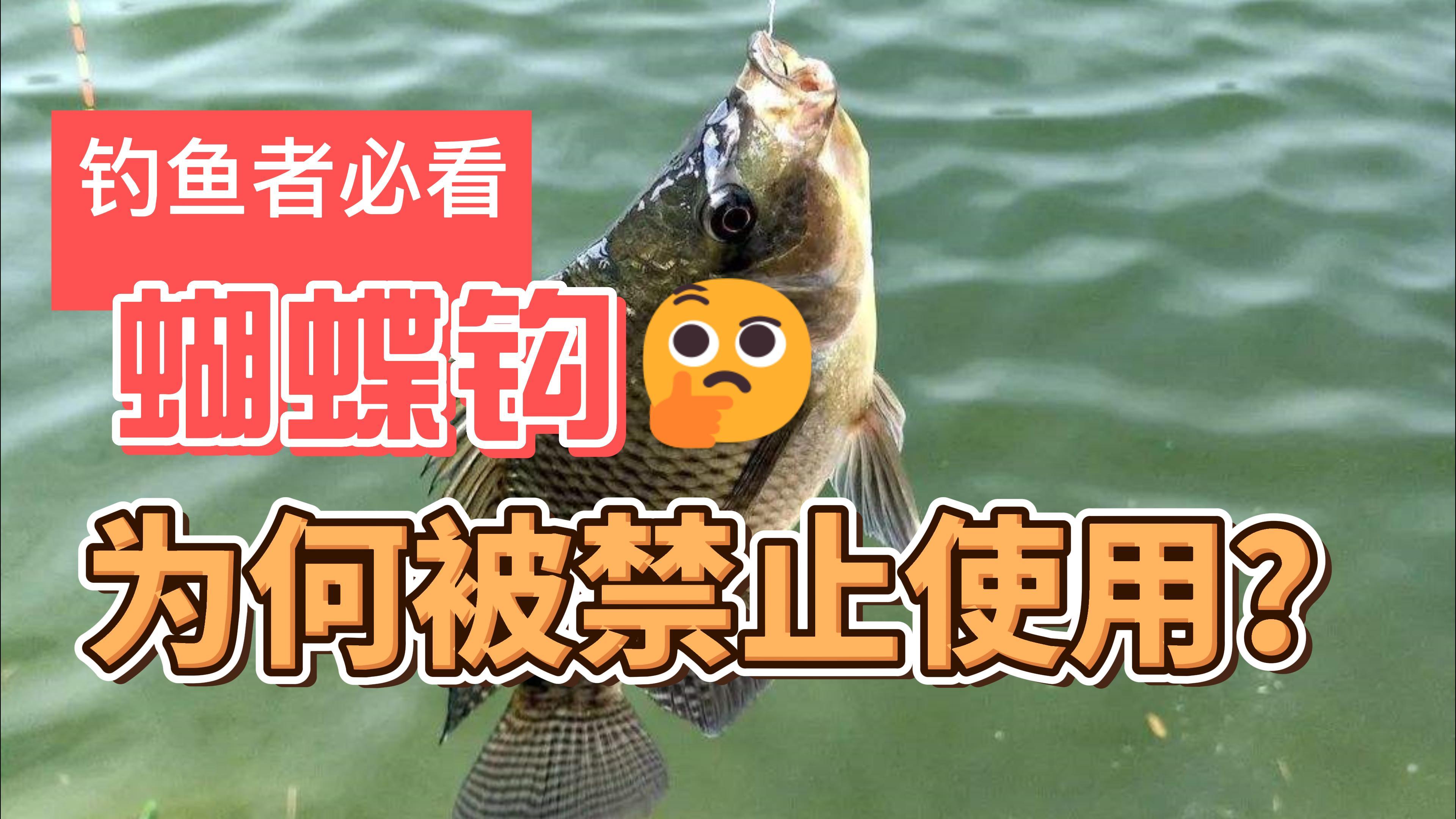 这种钓鱼钩为何被禁止?