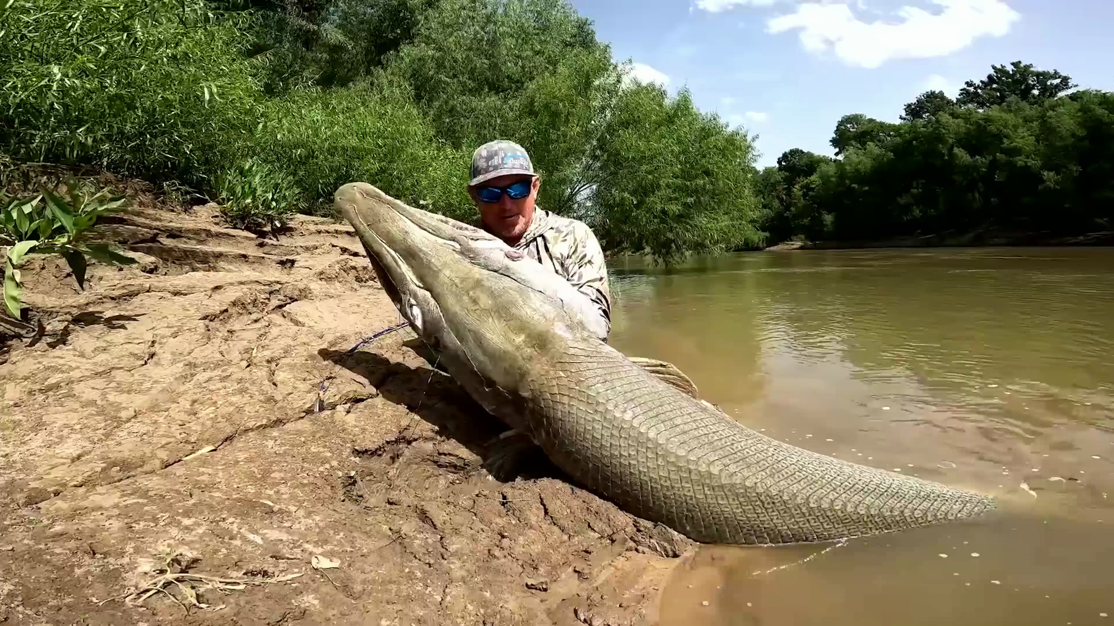 巨型鱼钩钓2米鳄雀鳝,数亿年的进化史,称之为水中恶霸