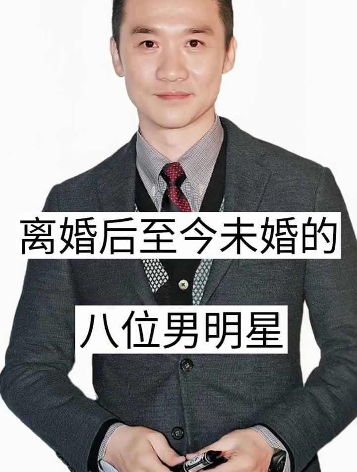 离婚后至今未婚的八位男明星