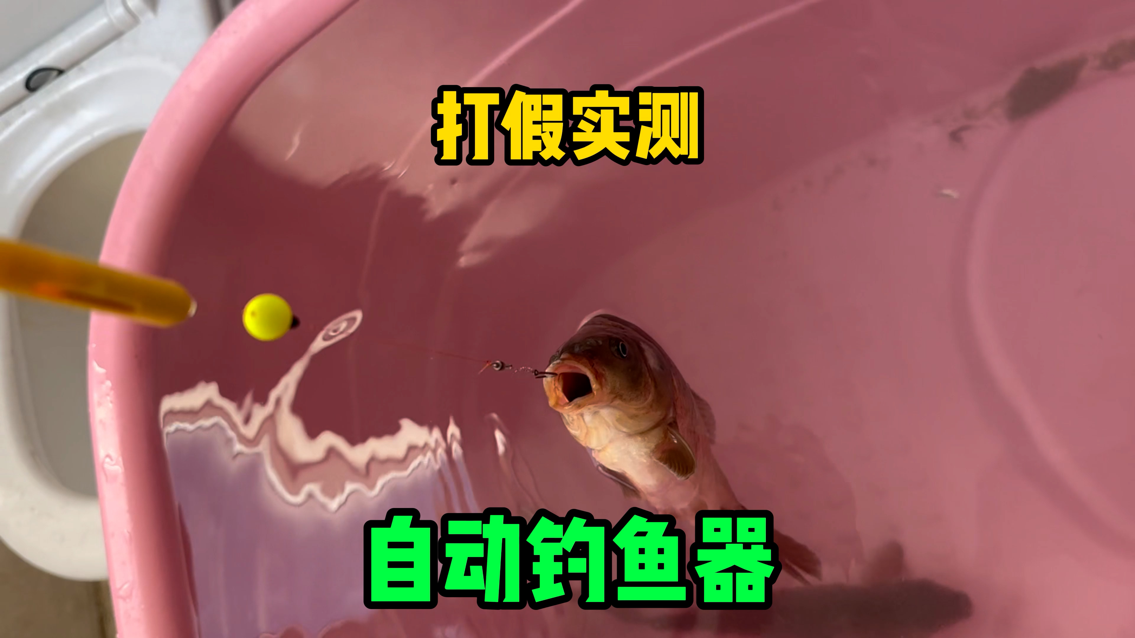 打假实测小仙郎自动钓鱼器，无需上卡，挂耳即钓，真的好用吗？