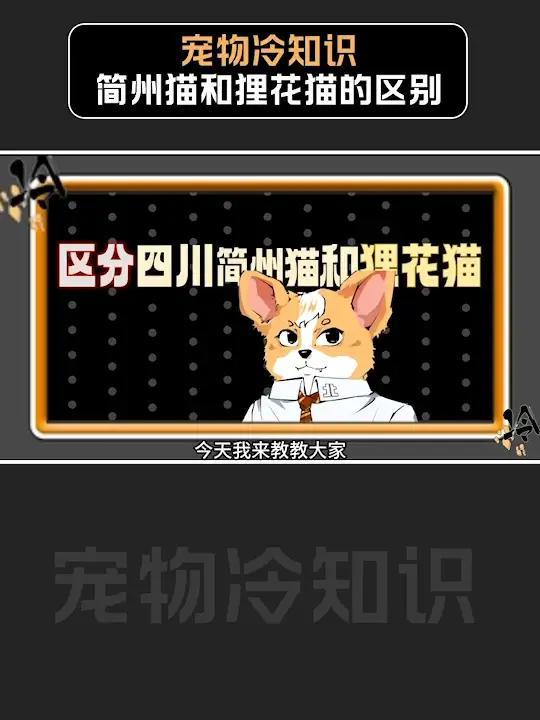 如何区分狸花猫和简州猫呢?