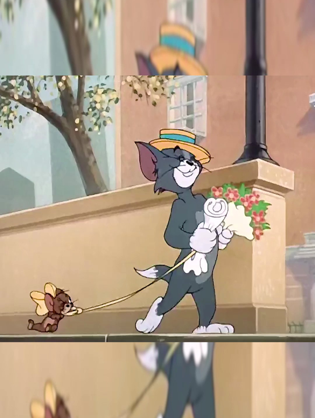 汤姆为了追求一只白猫将杰瑞当成礼物送给白猫不料最后一场空