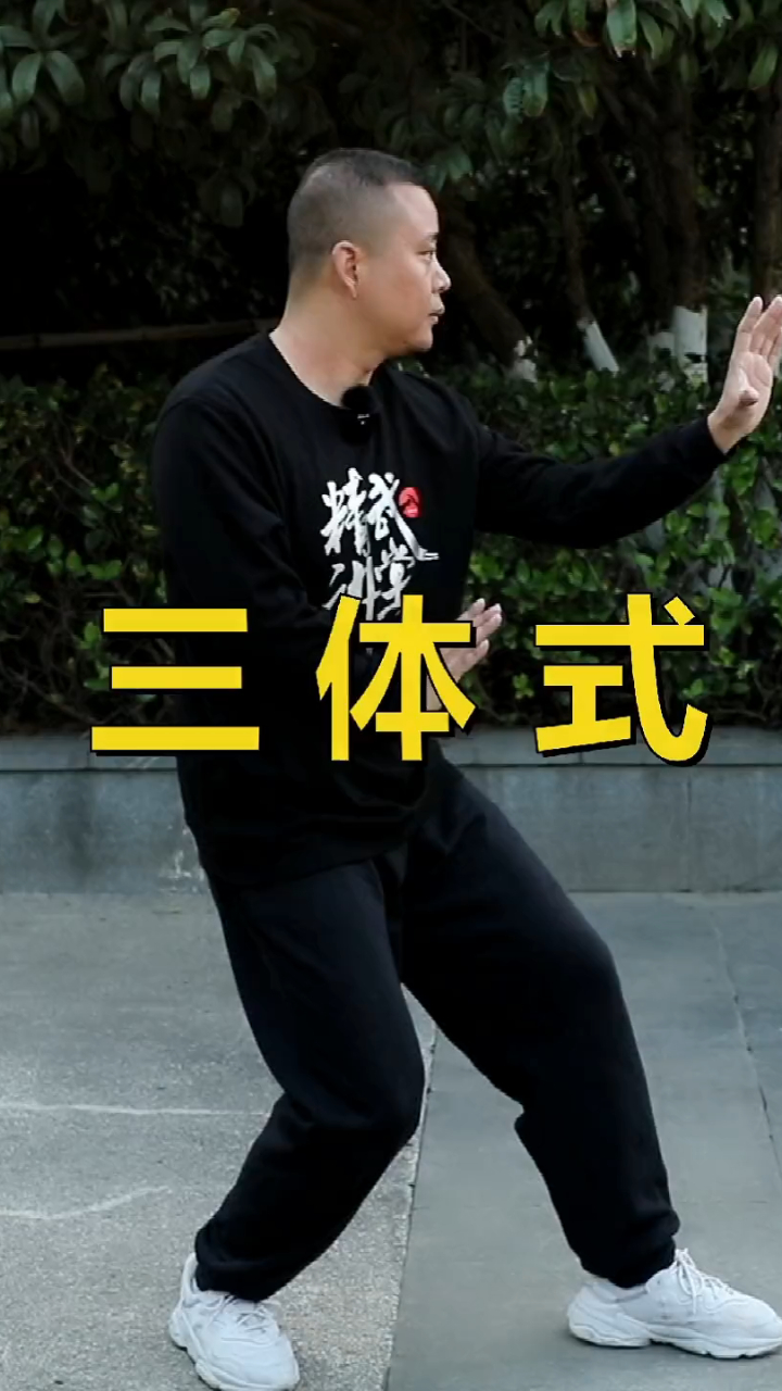大家期待已久的来了讲讲三体式形意拳三体式