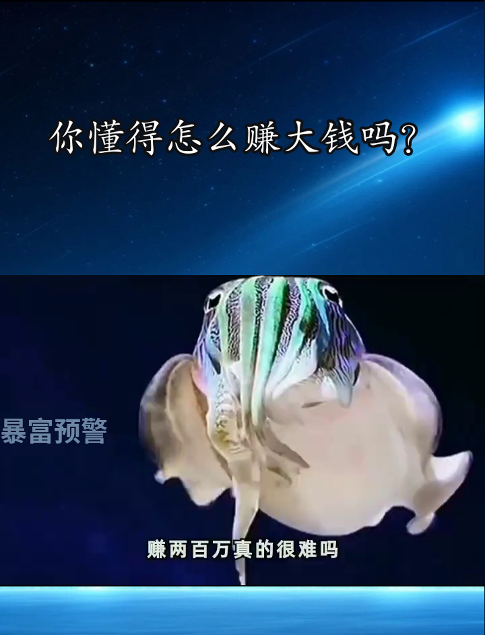 养鱼能赚到钱吗(养鱼到底赚不赚钱)