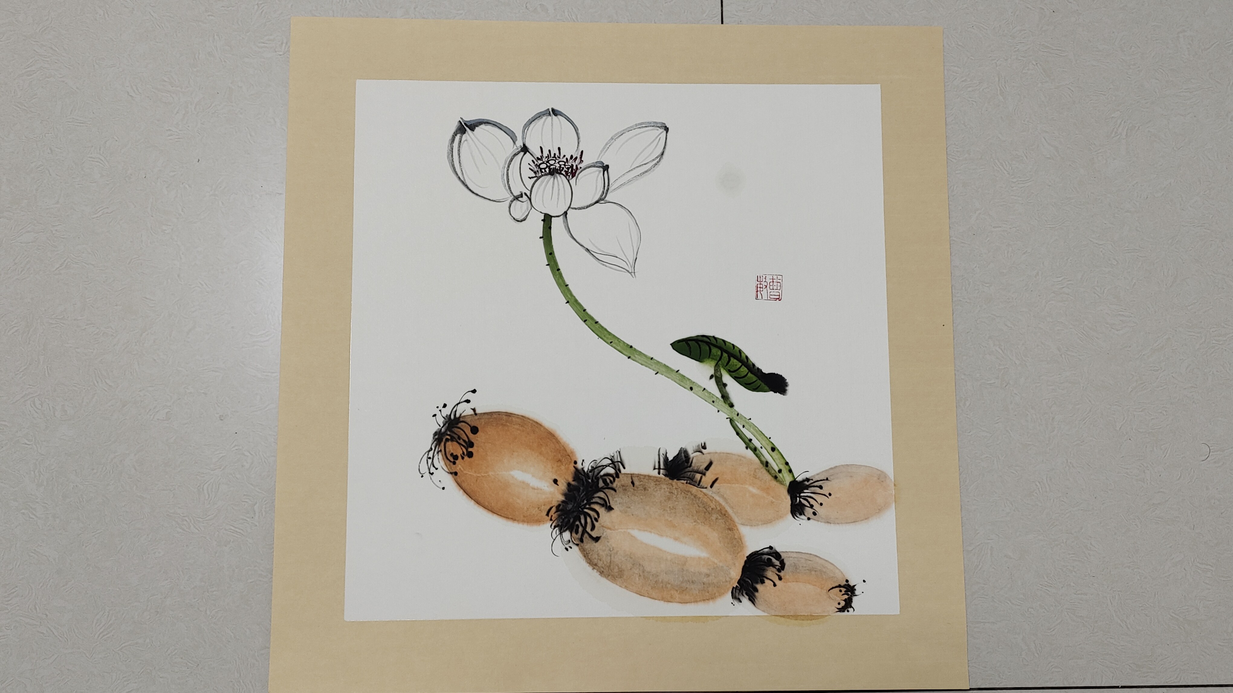 莲藕生荷花的画法,手把手教会你