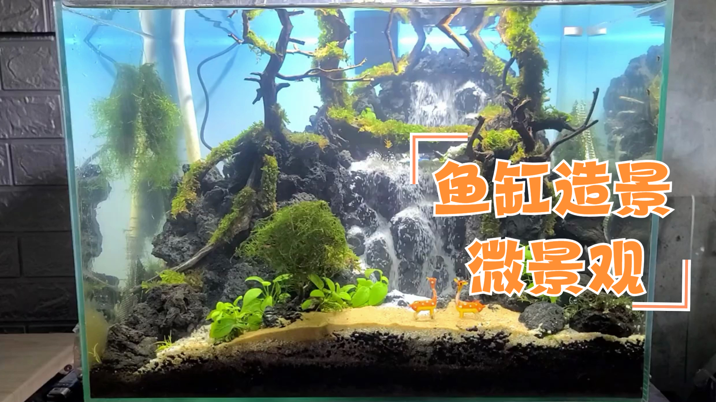 鱼缸造景 鱼缸里的大自然