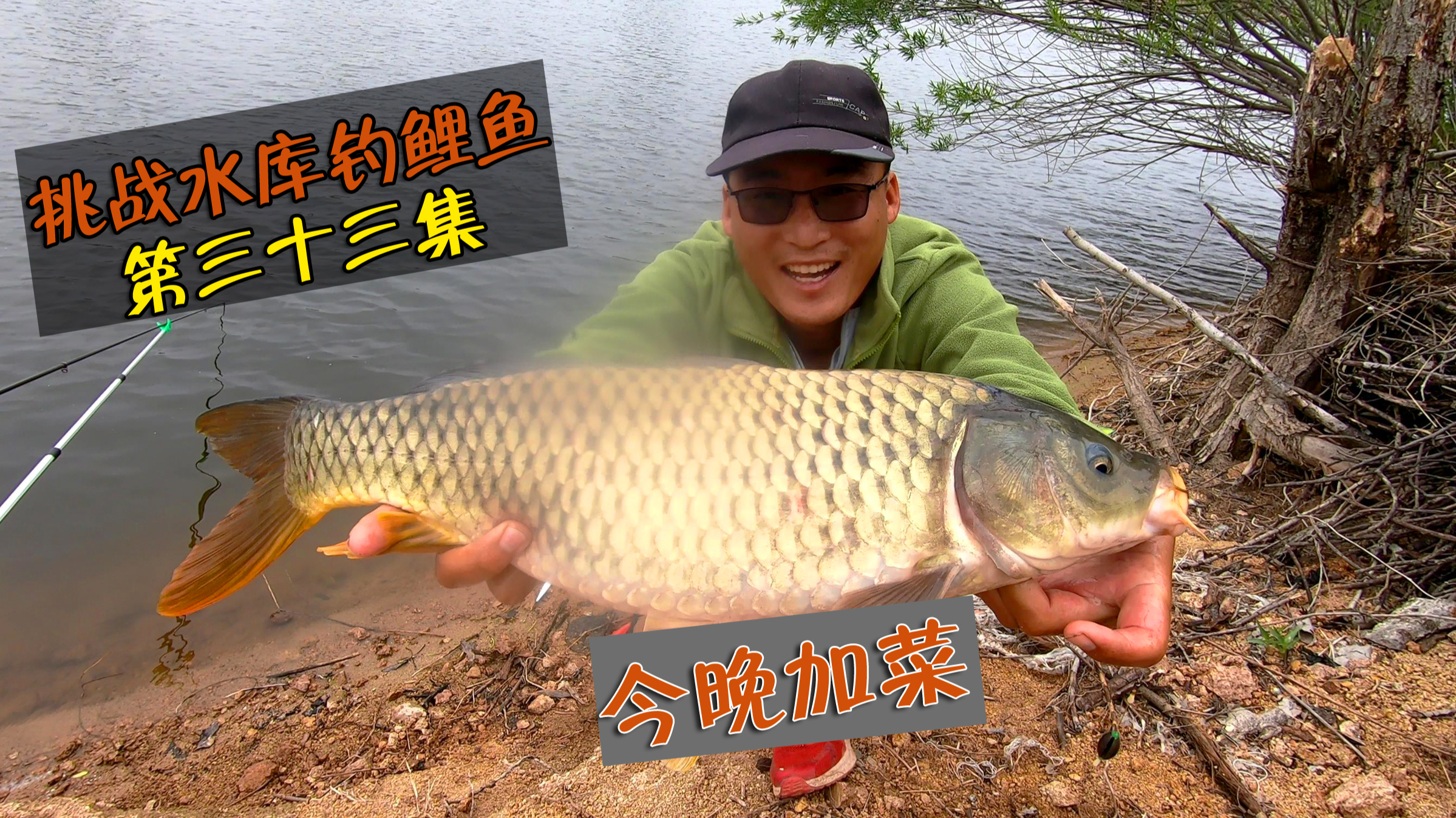 水库盘鲤鱼看谁先上鱼