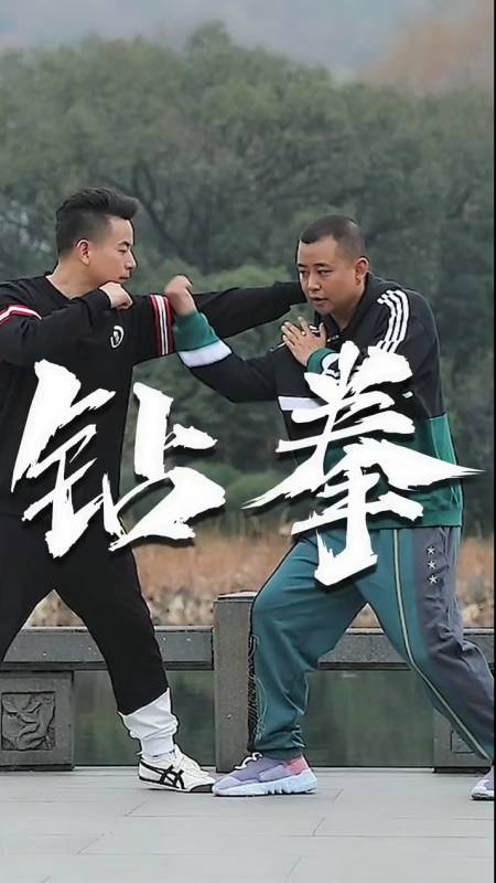 形意拳钻拳实战应用!-度小视
