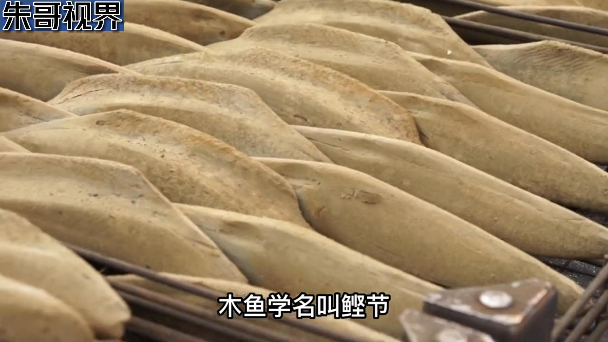 这不是木头而是木鱼,它被称作最坚硬的食物,想吃要用刨子削出来