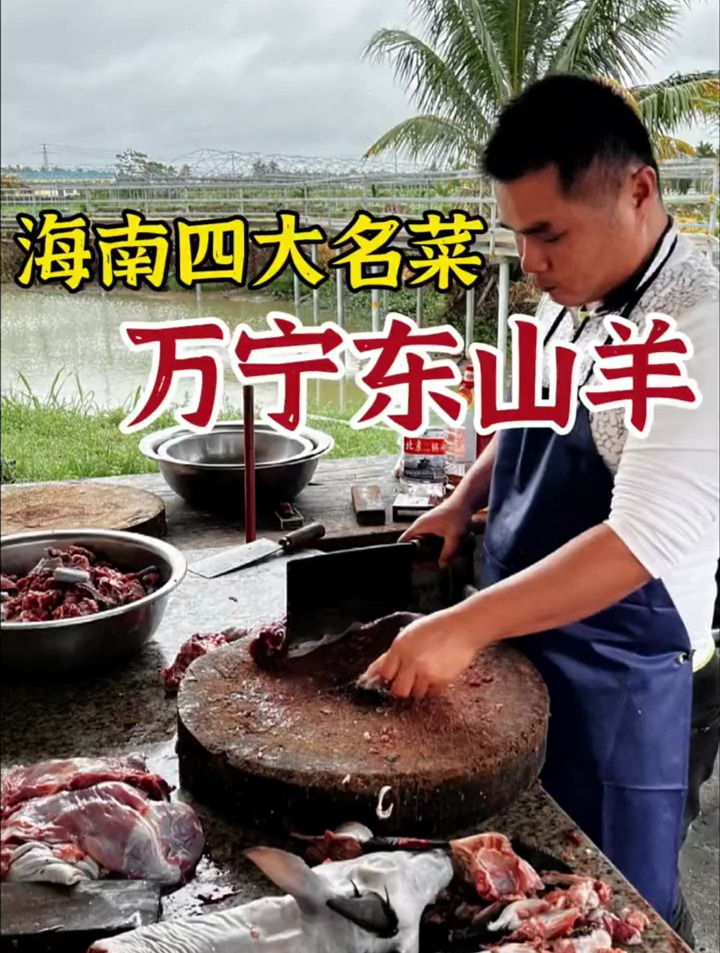 海南四大名菜,万宁东山羊.海南的冬天也贼冷,喝碗羊肉汤!