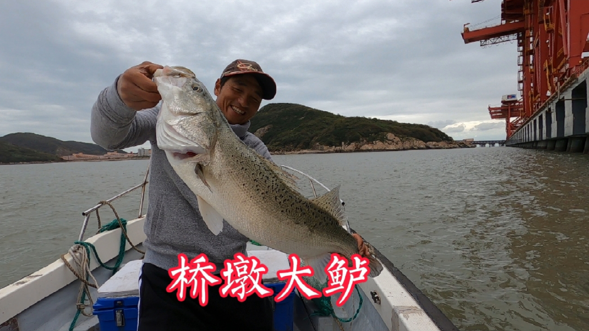 阿杰学完科目三,下午到桥墩路亚鲈鱼,家门口玩玩的收获也很不错