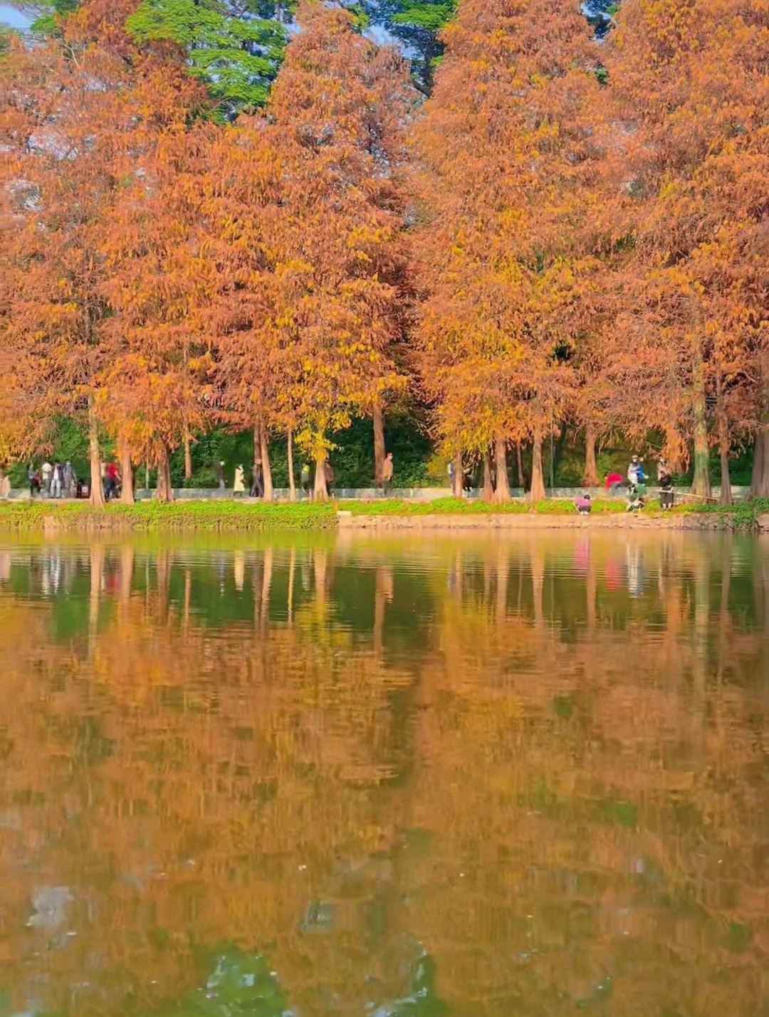 广州天河公园这个"相亲圣地"