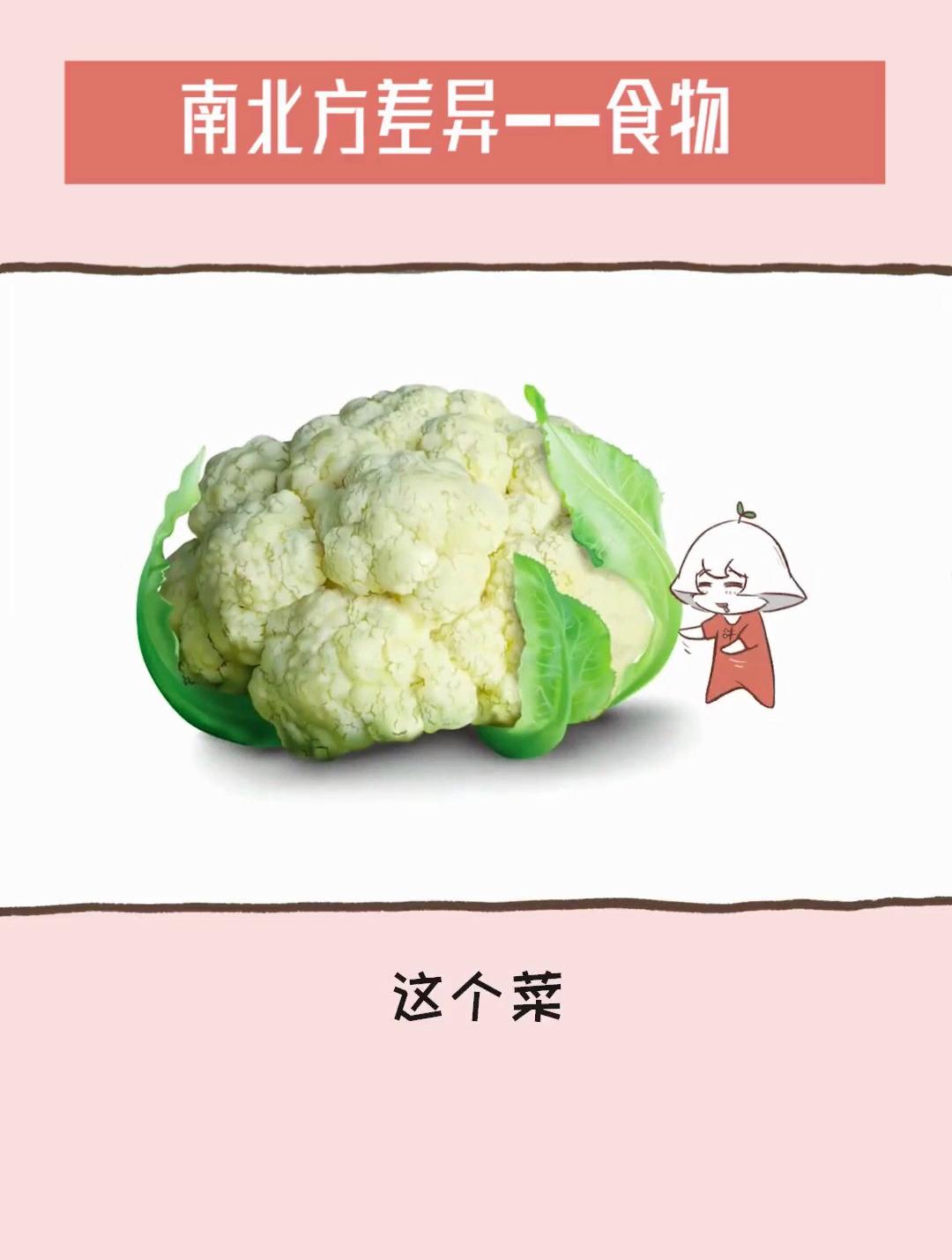 南北方的差异!青菜到底是什么菜?