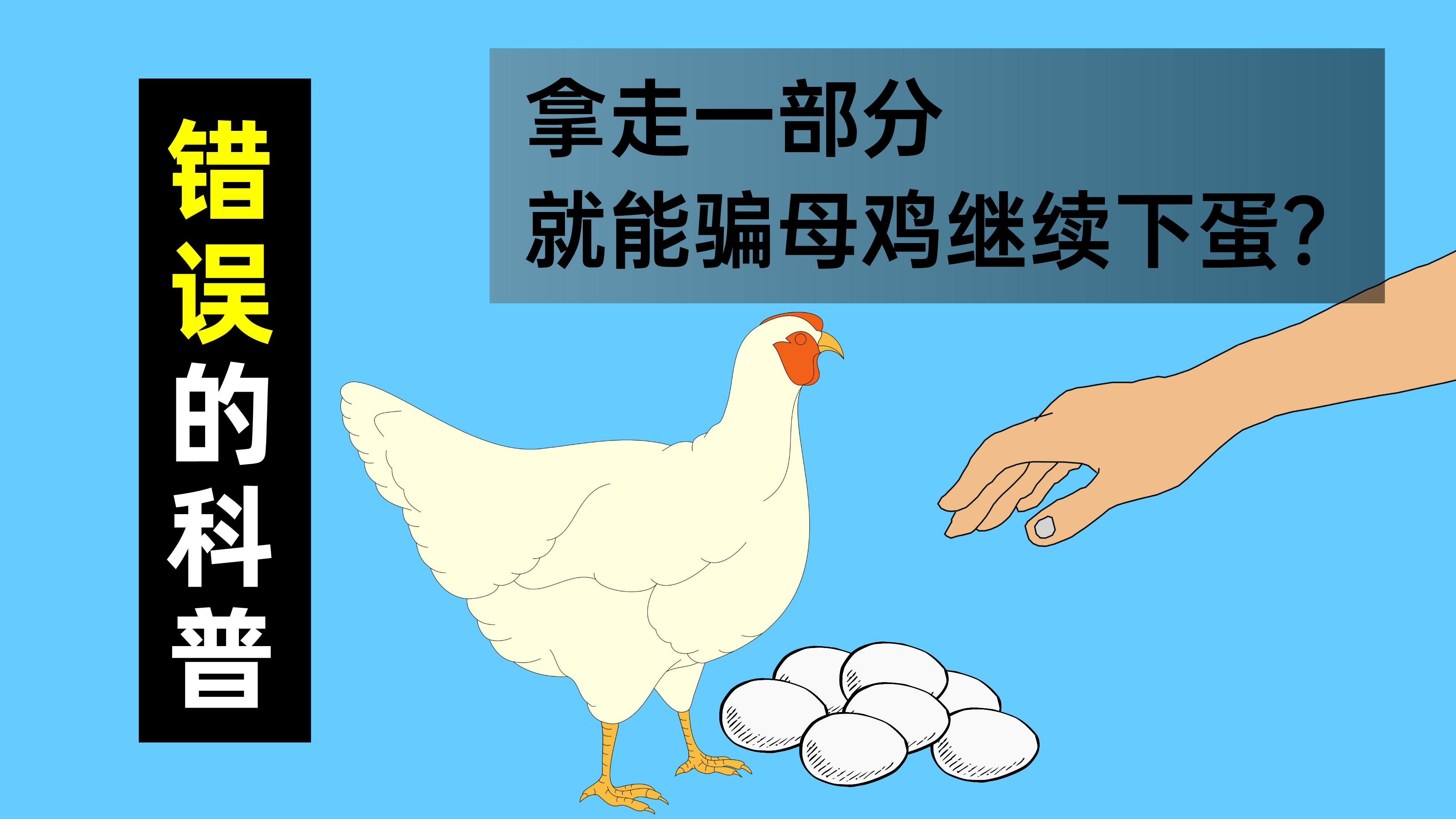 母鸡抱窝不下蛋,流传最广的方法却解决不了?