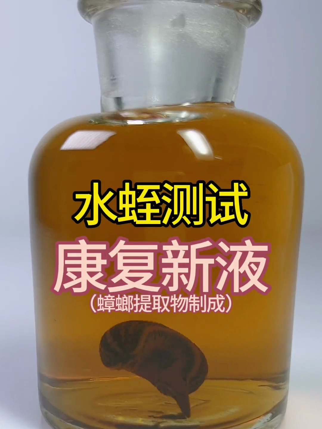 水蛭遇上蟑螂提取物制成的康复新液,会有什么反应呢?-度小视