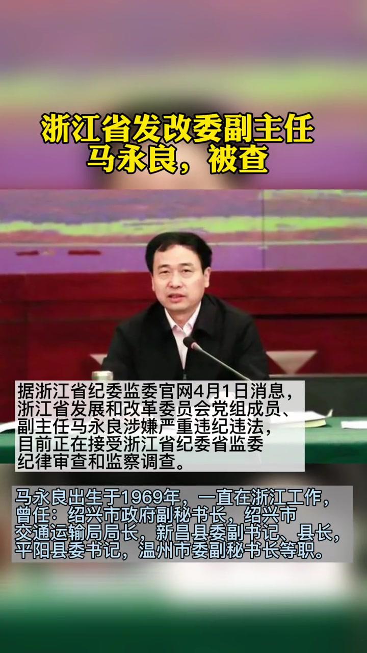 浙江省发改委副主任马永良被查