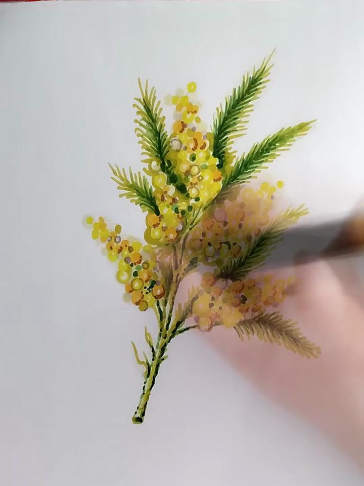 跟着视频学画画,画好看的含羞草