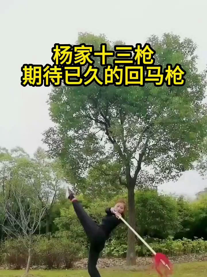 杨家十三枪图片