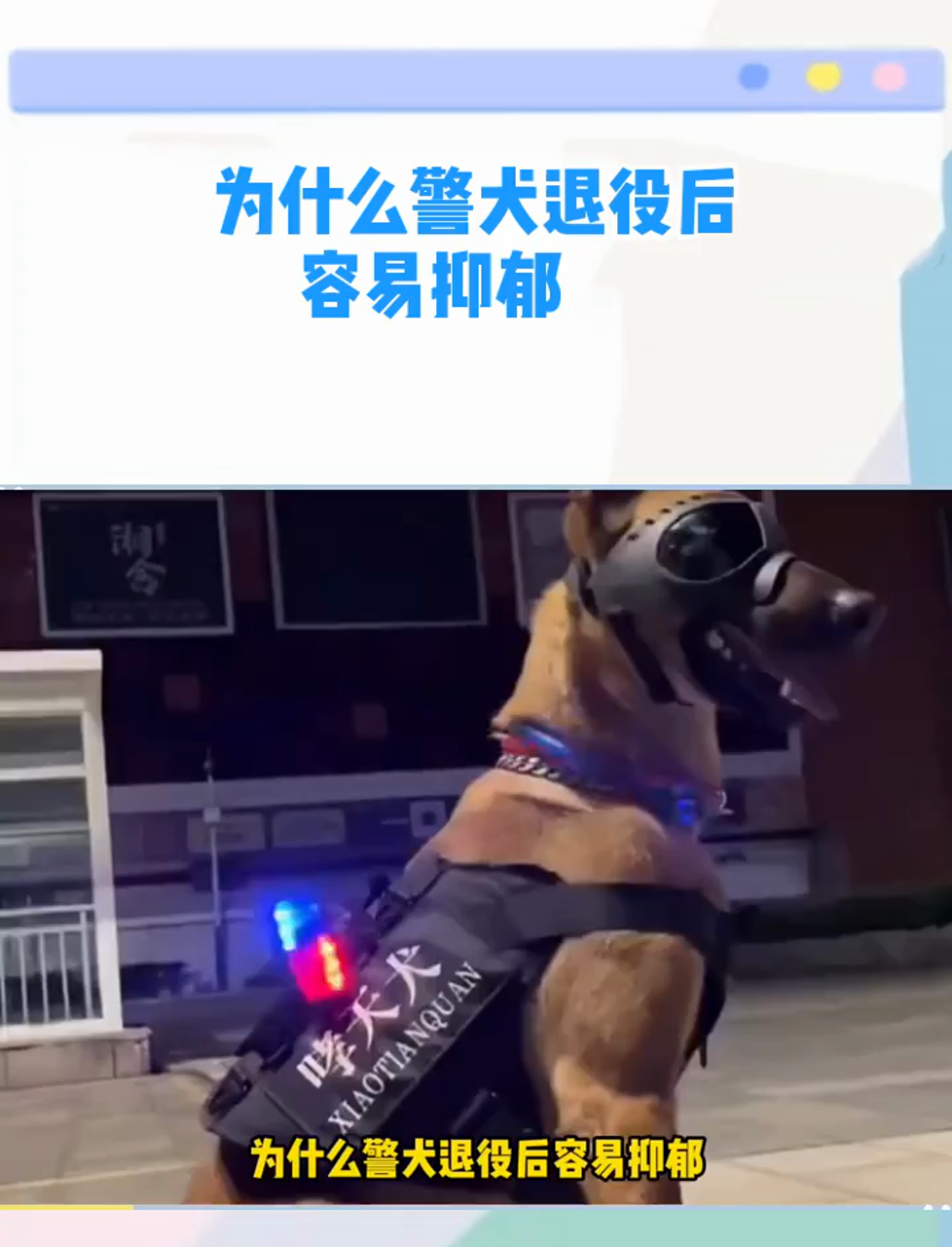 警犬标语图片