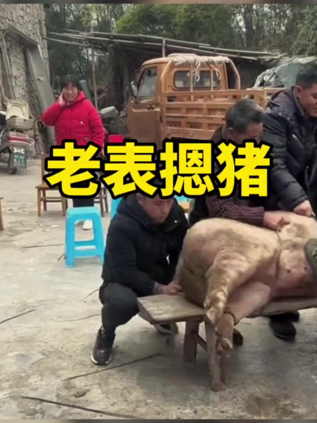 你不那么狠拽它尾巴,它挣扎的还会轻点