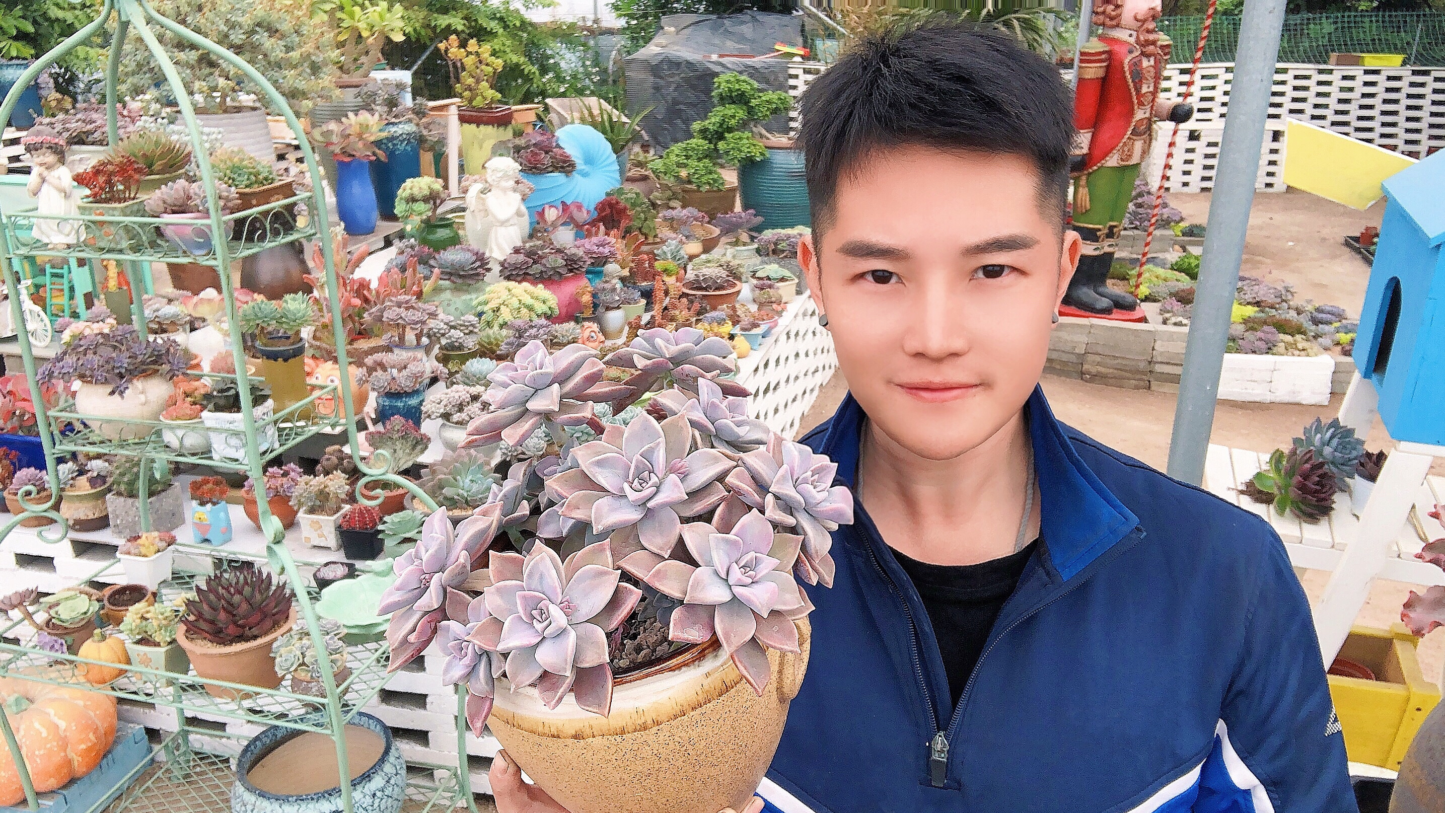 容易上色的多肉植物有哪些?叶形独特小巧玲珑的,就是它们了!