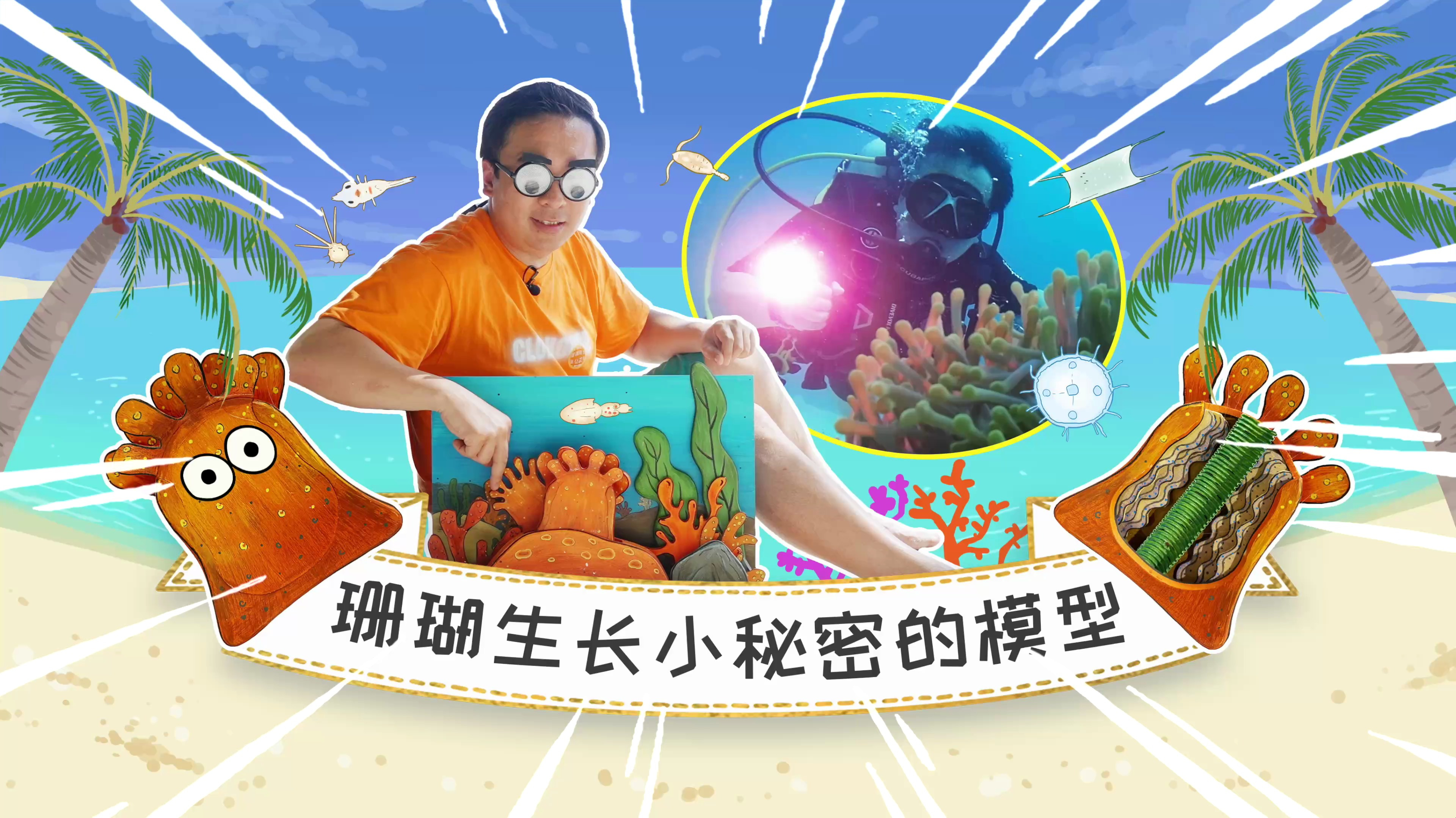 潜入海底看动物,模型带你了解珊瑚怎么长成?