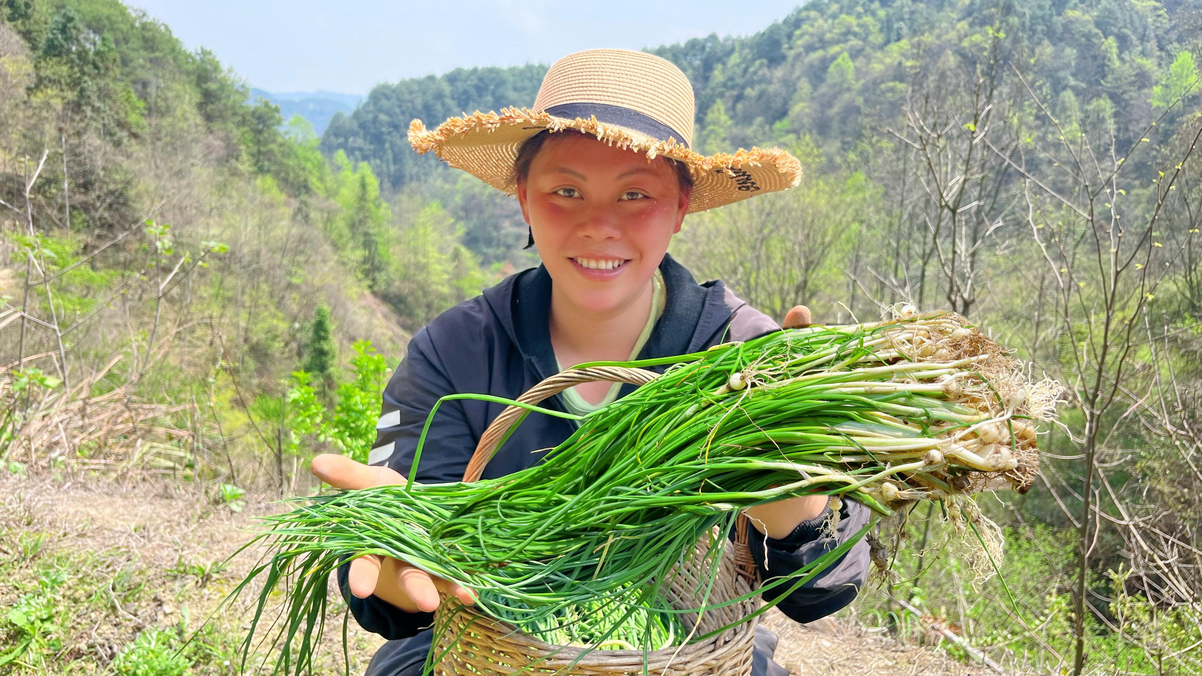 今天挖了很多野葱,回家和腊肉一起炒,配上裙带菜吃着也太香了
