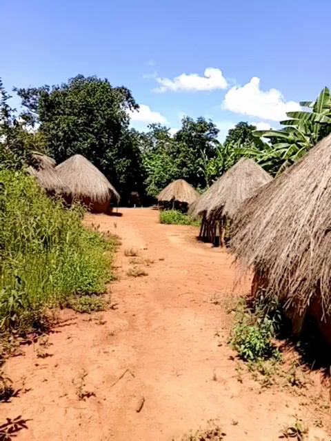 非洲房子 居住房屋图片