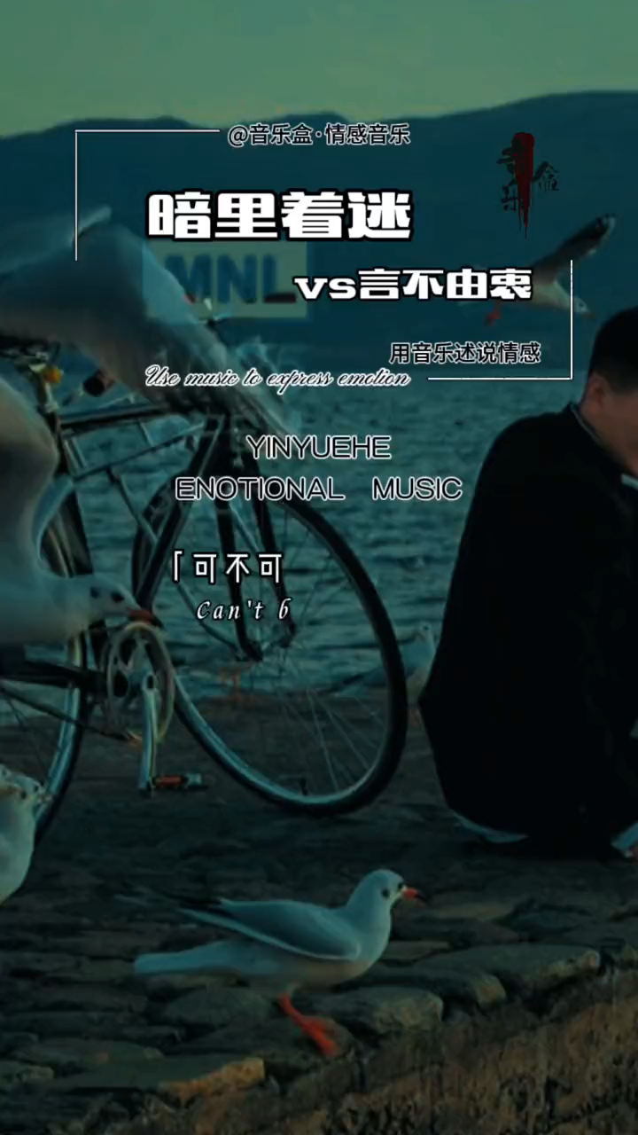 国粤双语,经典老歌,暗里着迷,刘德华,言不由衷