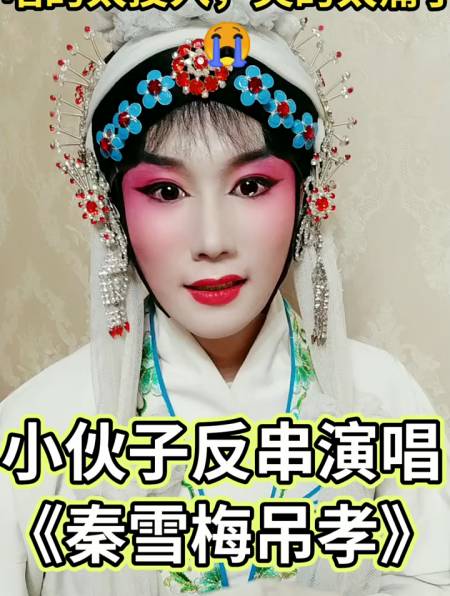 豫剧《秦雪梅吊孝》上 扶灵柩心如刀绞-度小视