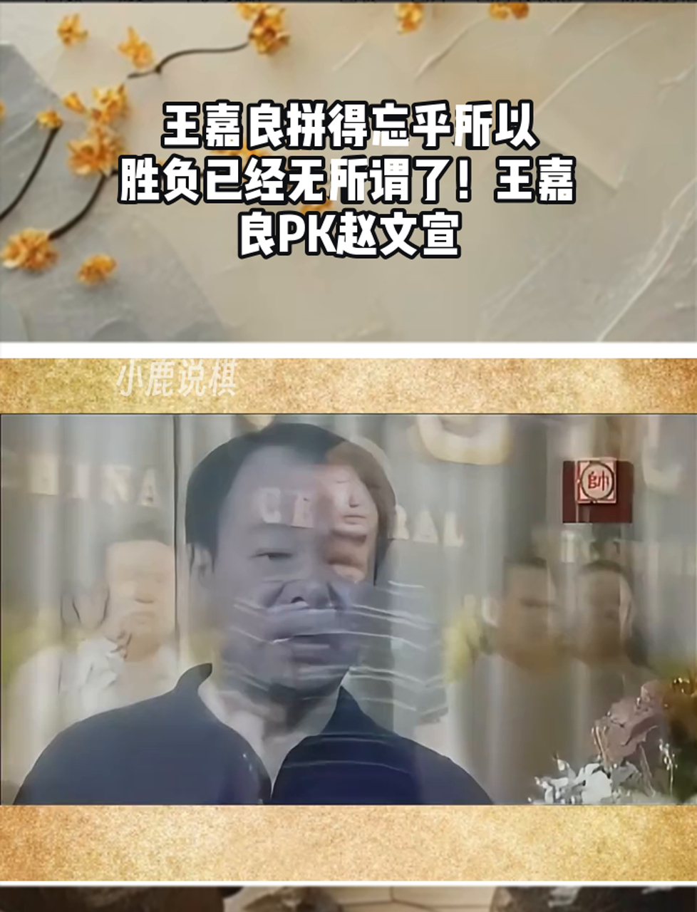 王嘉良简介图片