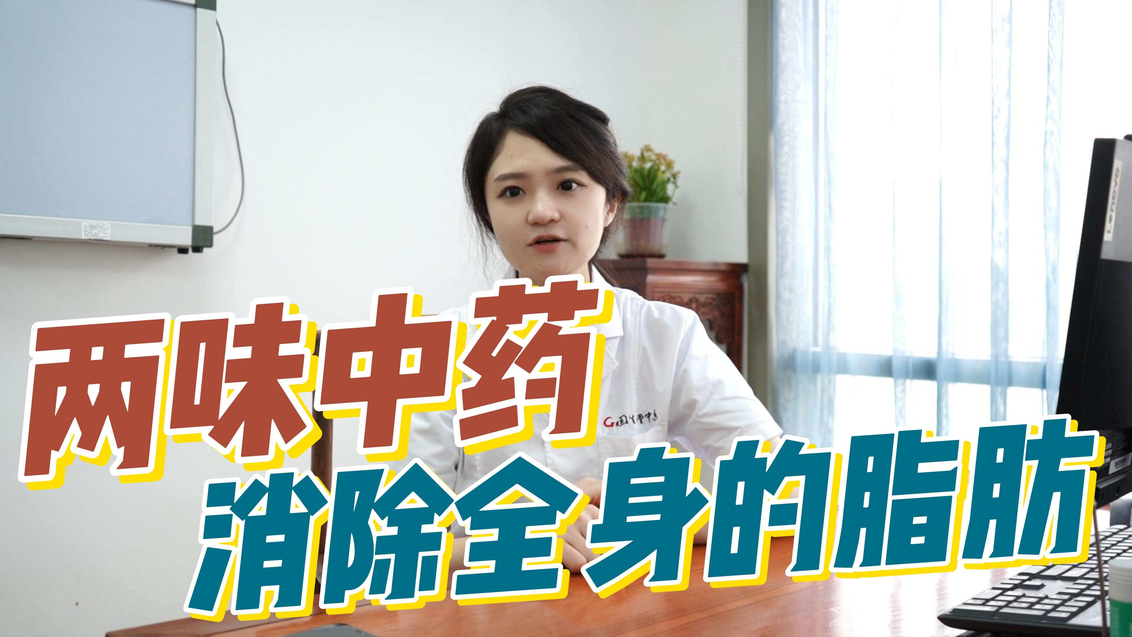 鸡屎藤加苍术,效果显著,月减15斤
