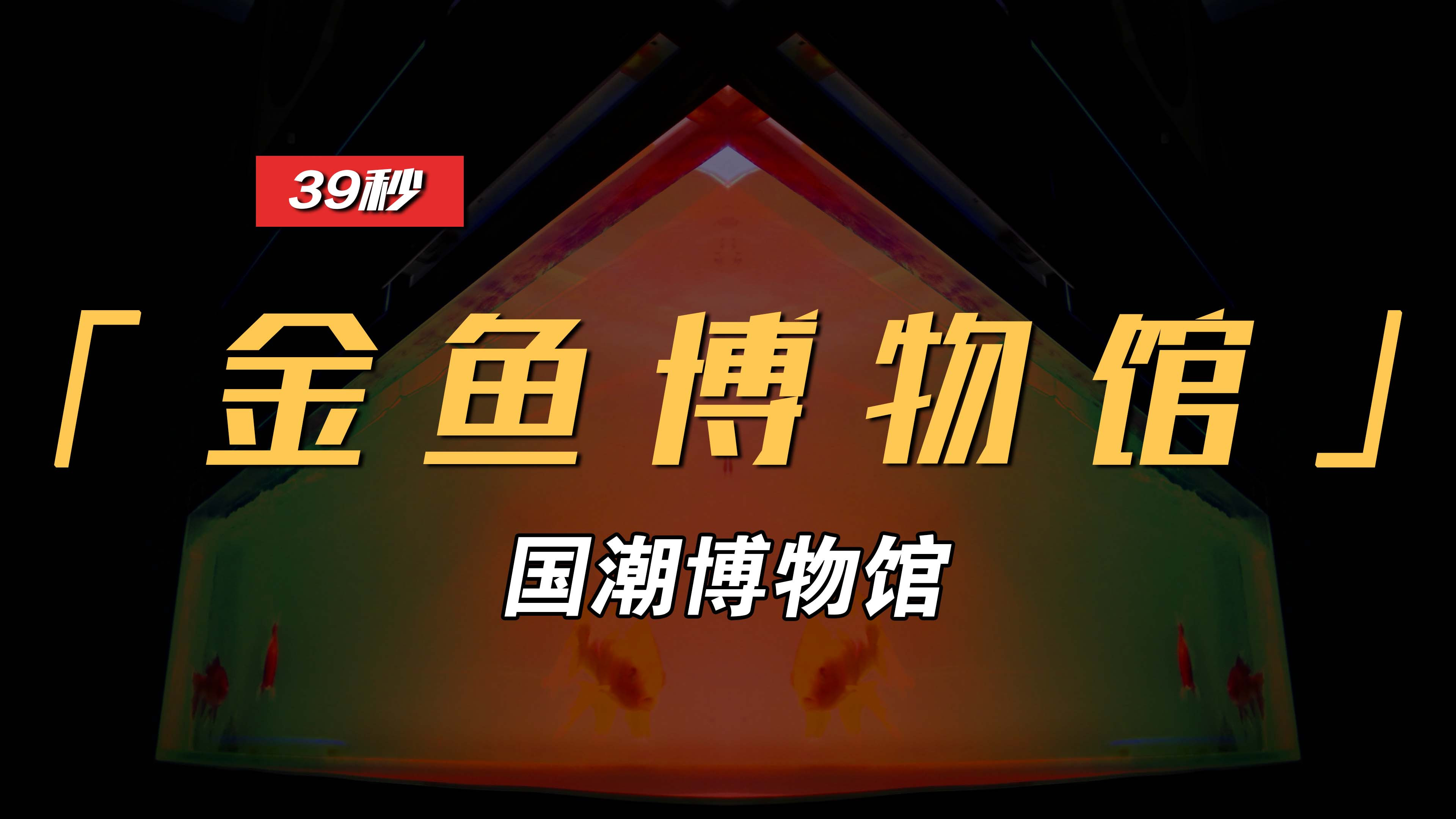 国潮金鱼博物馆