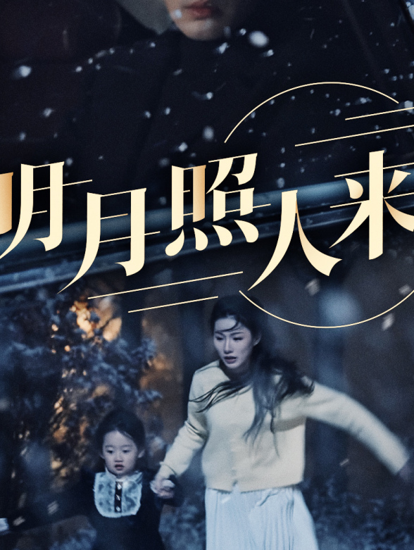 明月照人来封面图