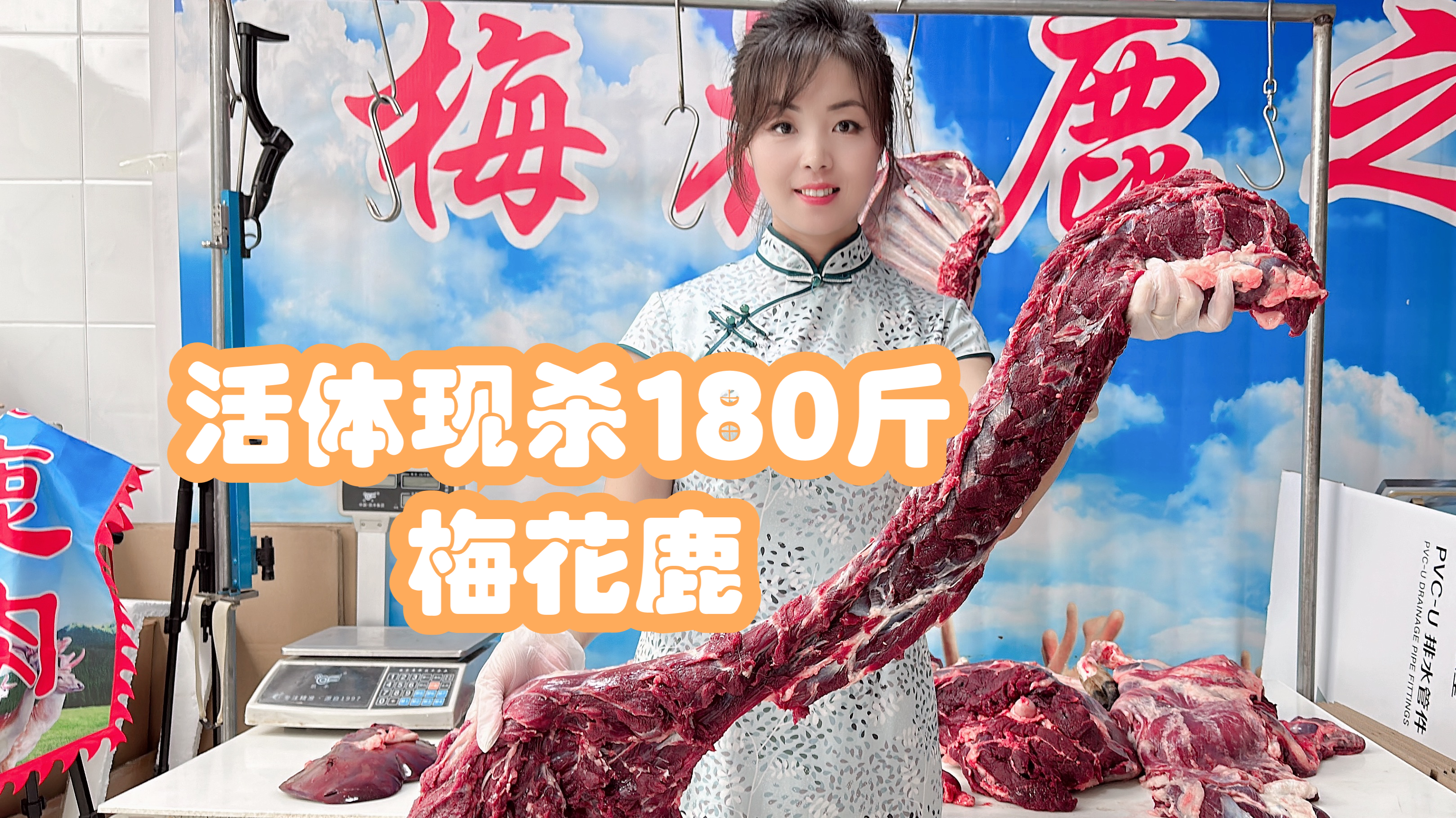 活体现杀180斤梅花鹿,现场分割鹿肉,鹿肉怎么做最好吃