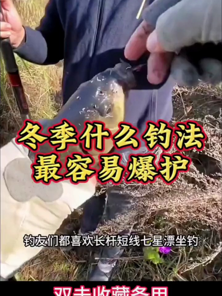 冬季什麼釣法最容易爆護 釣魚 戶外 漁具用品 七星漂