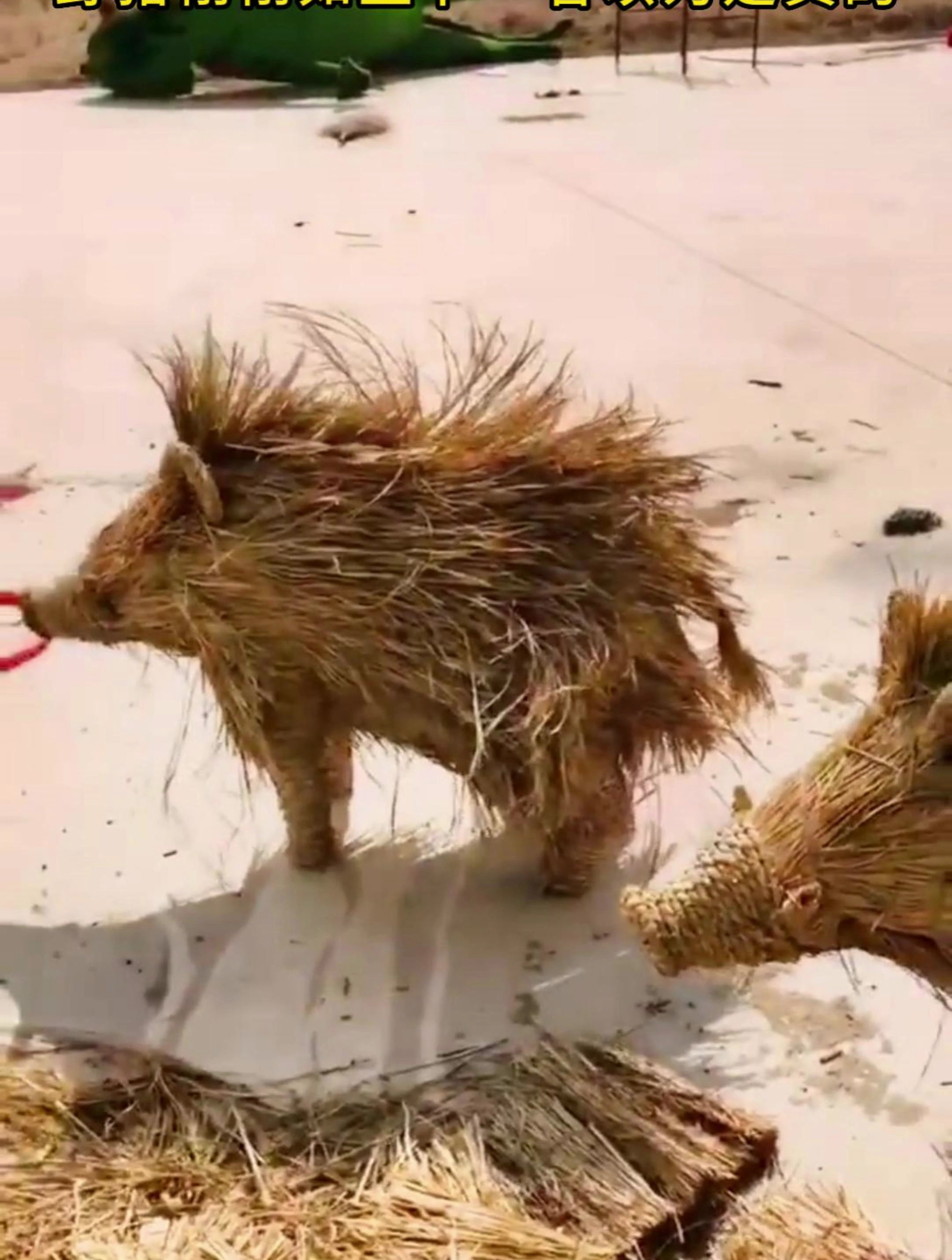 宿迁手艺人手工编织稻草人野猪,栩相如生乍一看以为是真的