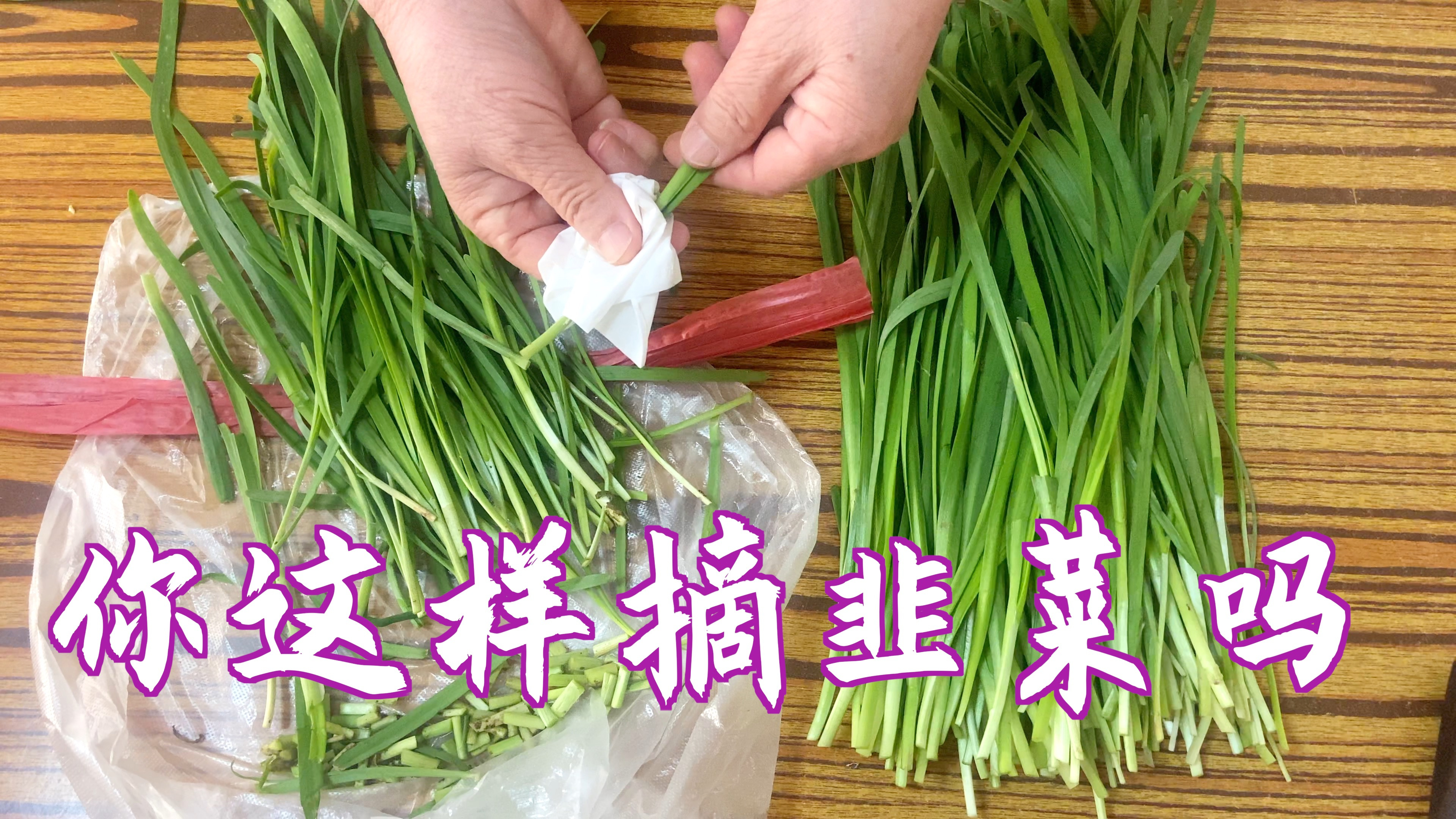 春天韭菜鲜嫩好吃,吃前怎样摘更干净,试试这种方法,简单实用