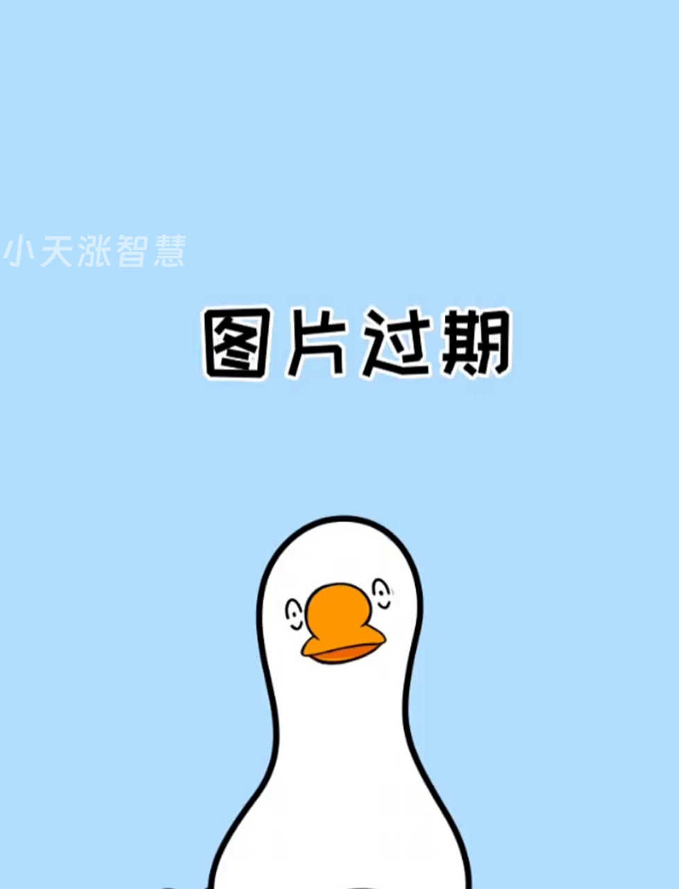 想翻老照片和视频,太久了提示过期?来这儿,备份文件帮你搞定!