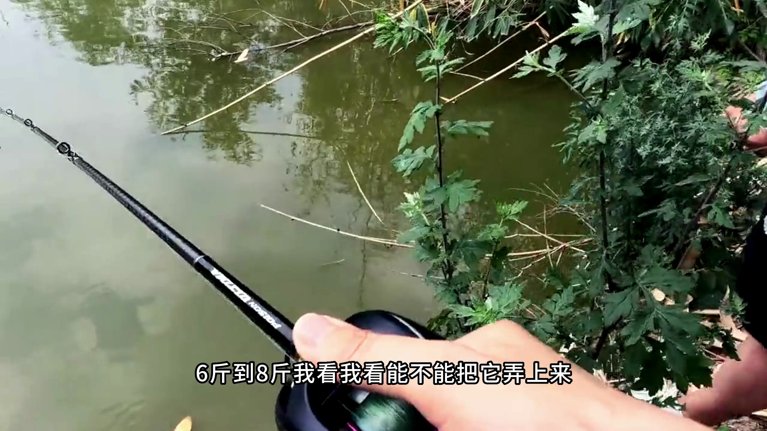 钓一条吃鸭子的酸菜鱼,我也算做了好事了!你们一般还怎么吃它