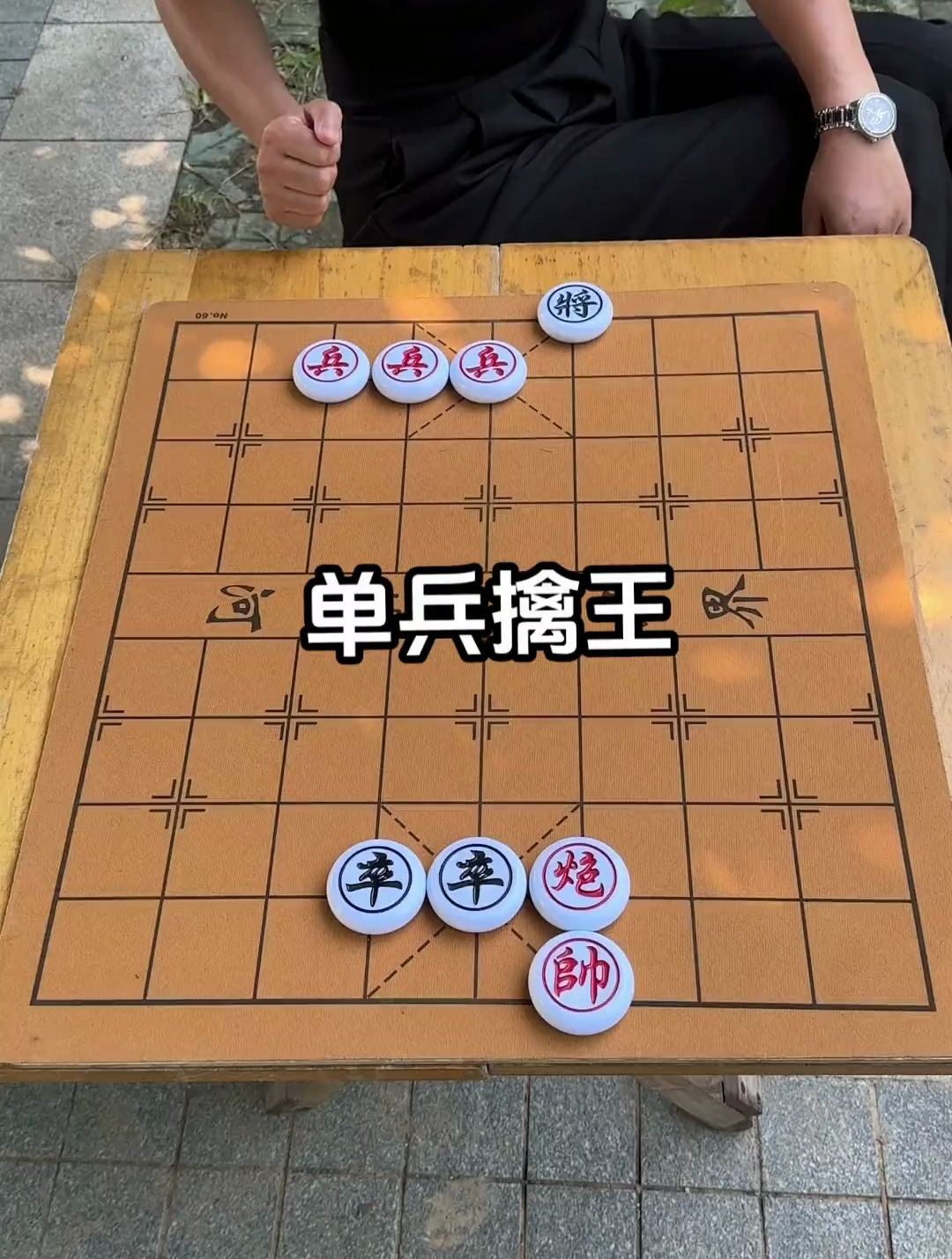 象棋残局之单兵擒王!