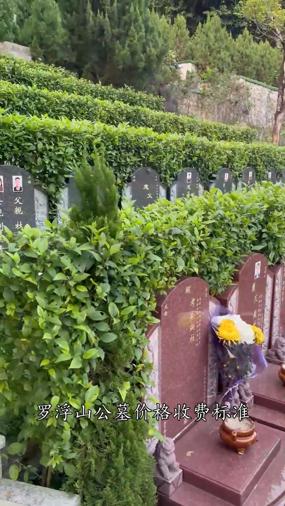 惠州罗浮山墓地图片