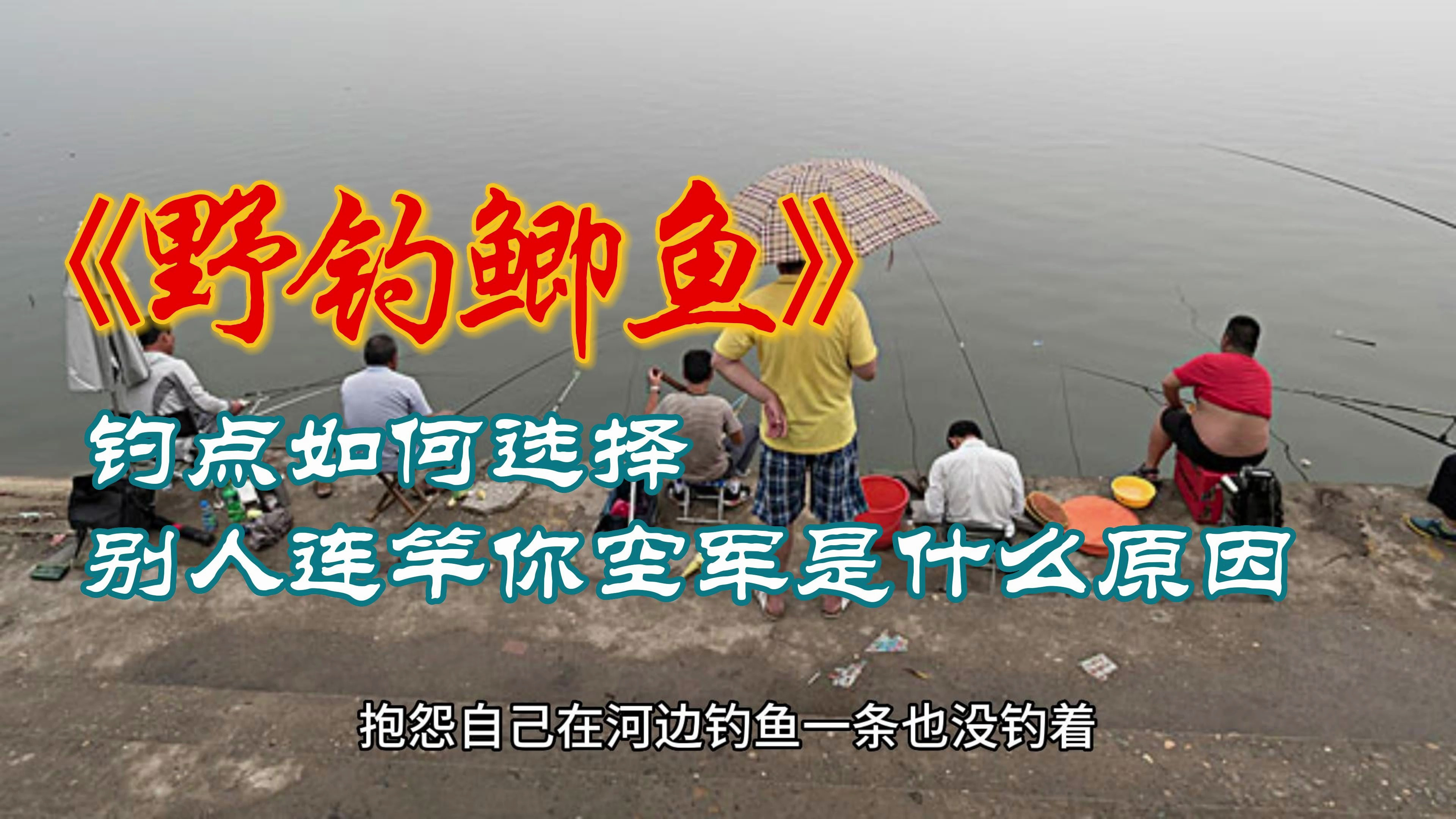 野钓鲫鱼钓点如何选择?别人连竿你空军是什么原因?