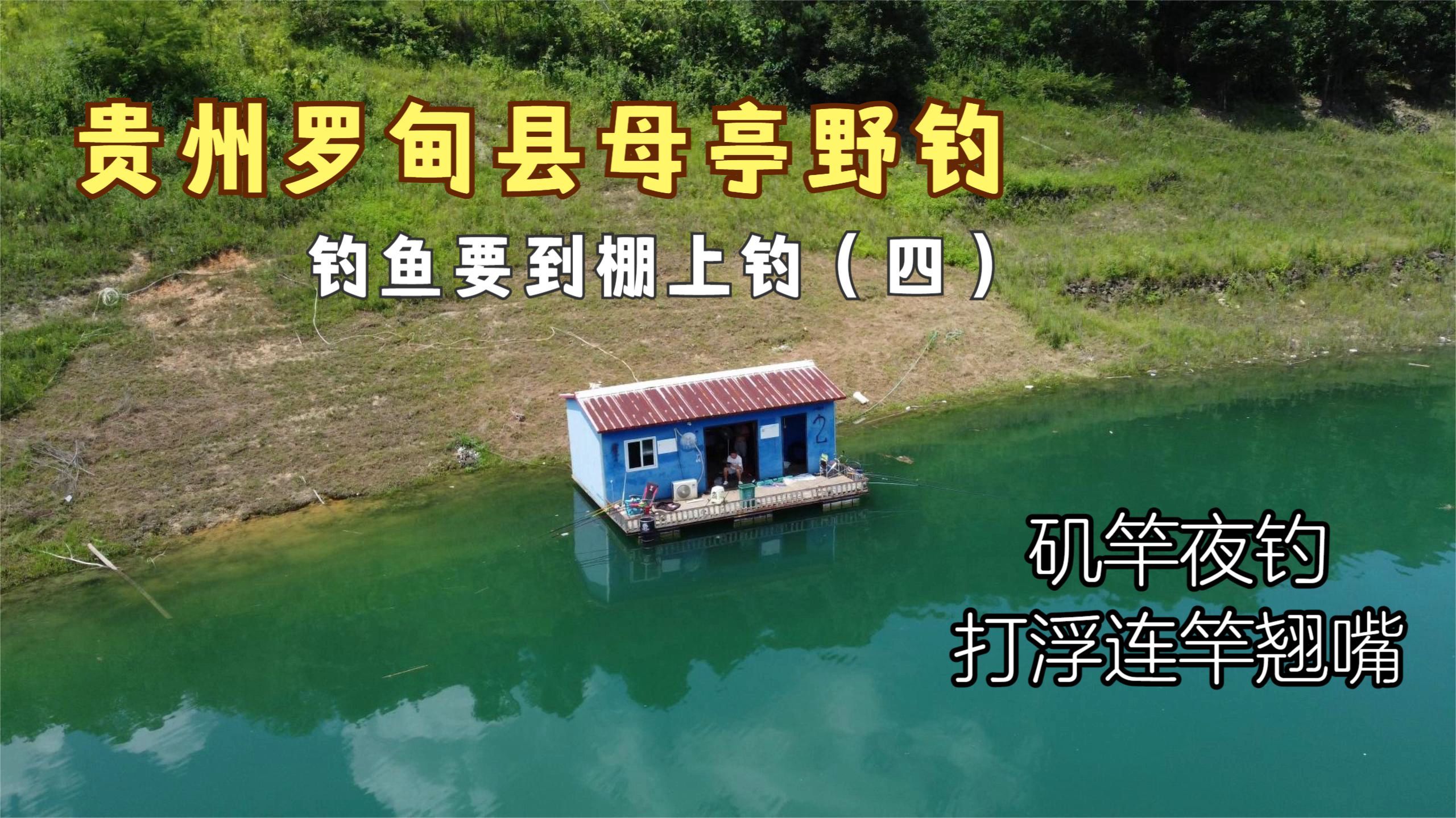 在钓鱼棚上野钓矶竿滑漂夜晚打浮钓翘嘴,个体虽小却频频连竿上鱼